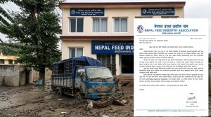 बाढीपीडितको राहतमा दाना उद्योग संघको पहल, एकमुष्ट सहयोग गर्ने योजना