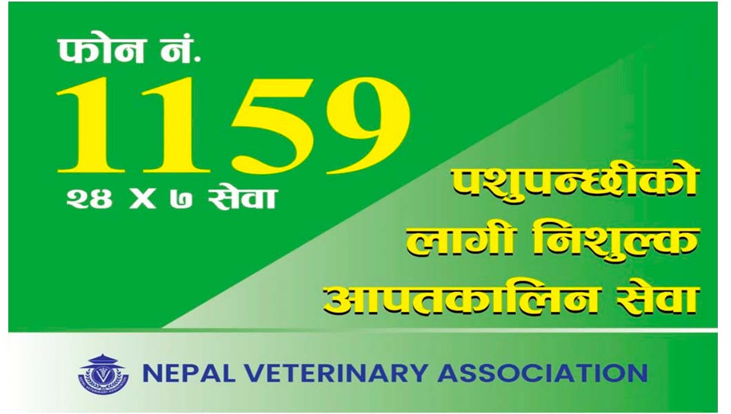 बाढी प्रभावित पशुपन्छीको उपचारमा २४ सै घण्टा सेवा, ११५९ हटलाइन सञ्चालन