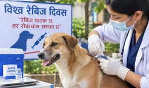 विश्व रेबिज दिवस : रेबिजमुक्त लक्ष्यमा खोपको प्रभावकारितामै प्रश्न
