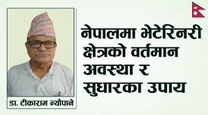 नेपालमा भेटेरिनरी क्षेत्रको वर्तमान अवस्था र सुधारका उपाय