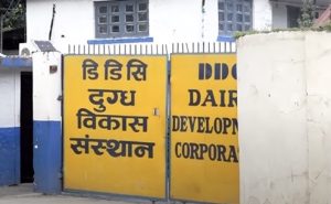दैनिक ८५ हजार लिटर बढाएर एक लाख ५० हजार लिटर दूध सङ्कलन गर्ने डीडीसीको लक्ष्य