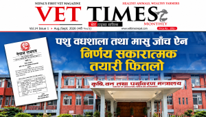पशु वधशाला तथा मासु जाँच ऐन, २०५५ निर्णय सकारात्मक तयारी फितलो