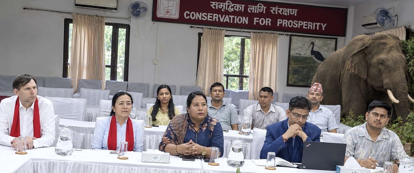 मानव–हात्ती द्वन्द्व न्यूनीकरण गर्न नेपाल र थाइल्यान्डबीच तीनवर्षे सहकार्य