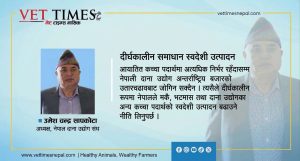 मकै र भटमासको मूल्यमा उछाल, पोल्ट्री उद्योग संकटमा