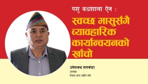 पशु वधशाला ऐन : स्वच्छ मासुसँगै व्यावहारिक कार्यान्वयनको खाँचो